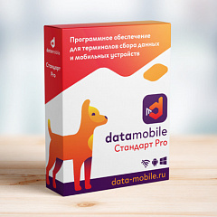 ПО DataMobile, версия Стандарт Pro в Прокопьевске